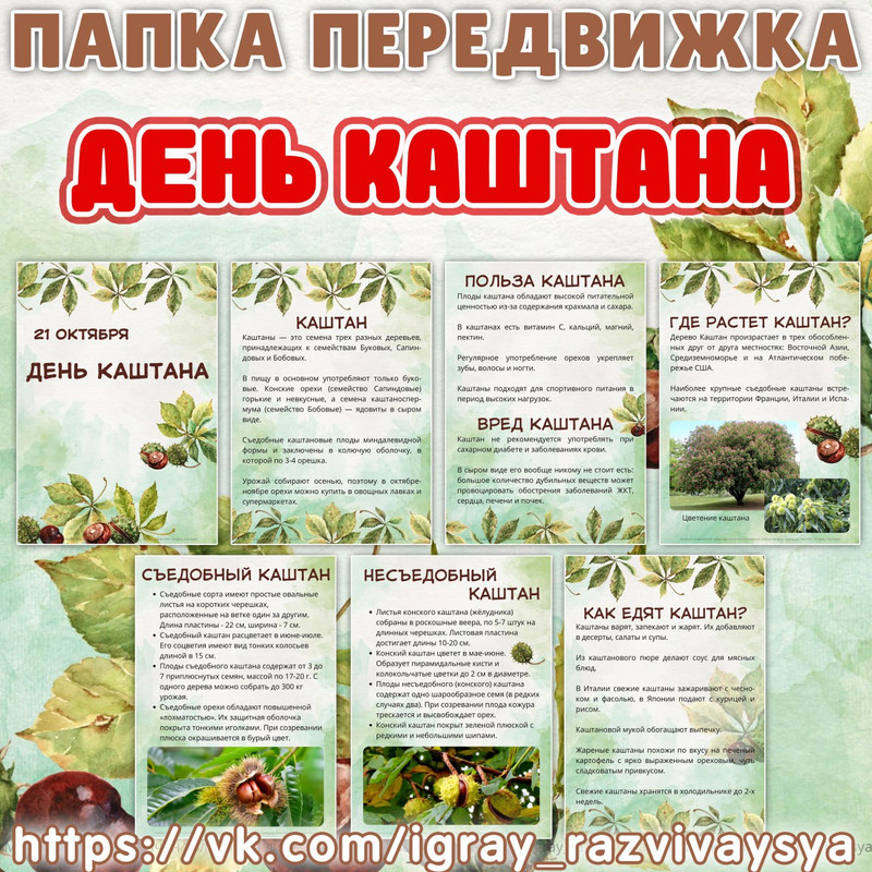 ПАПКА ПЕРЕДКИЖКА КАШТАН