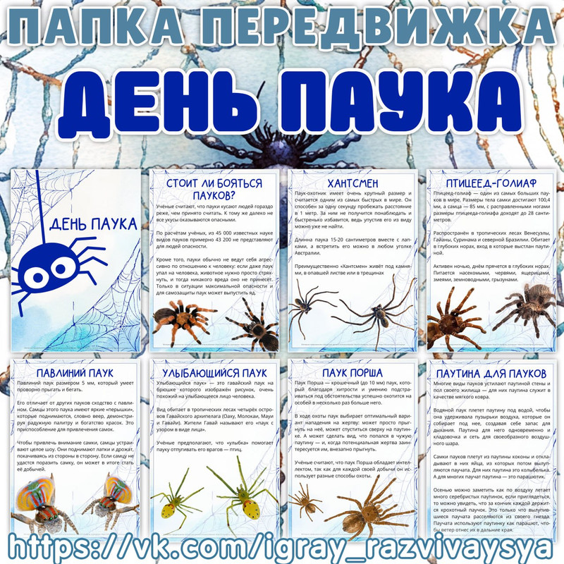 ПАПКА ПЕРЕДВИЖКА ПАУК