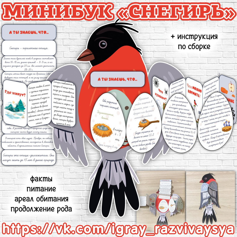 МИНИБУК СНЕГИРЬ