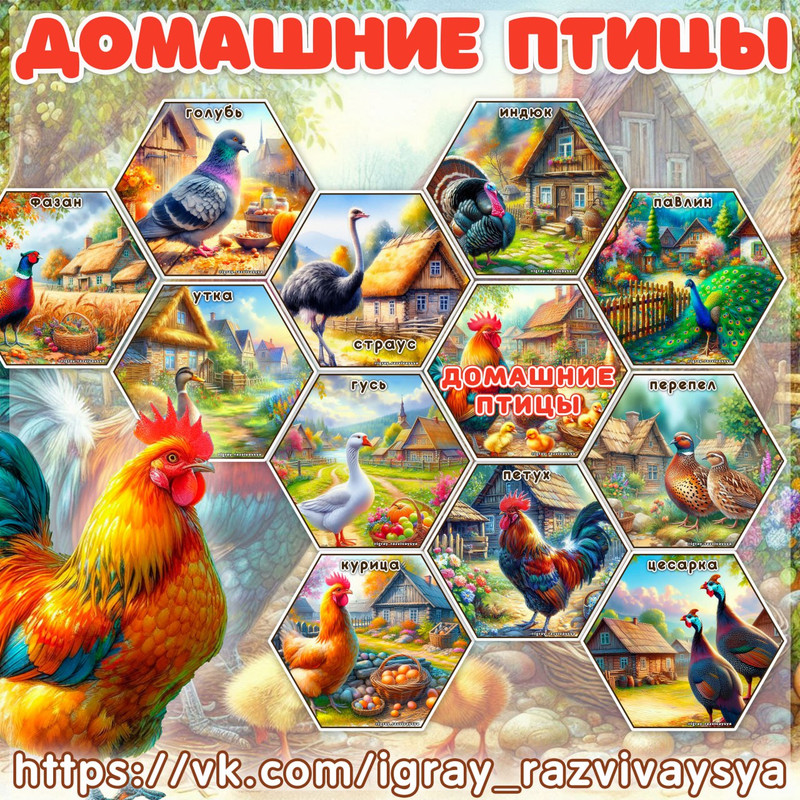 СТЕНД ДОМАШНИЕ ПТИЦЫ