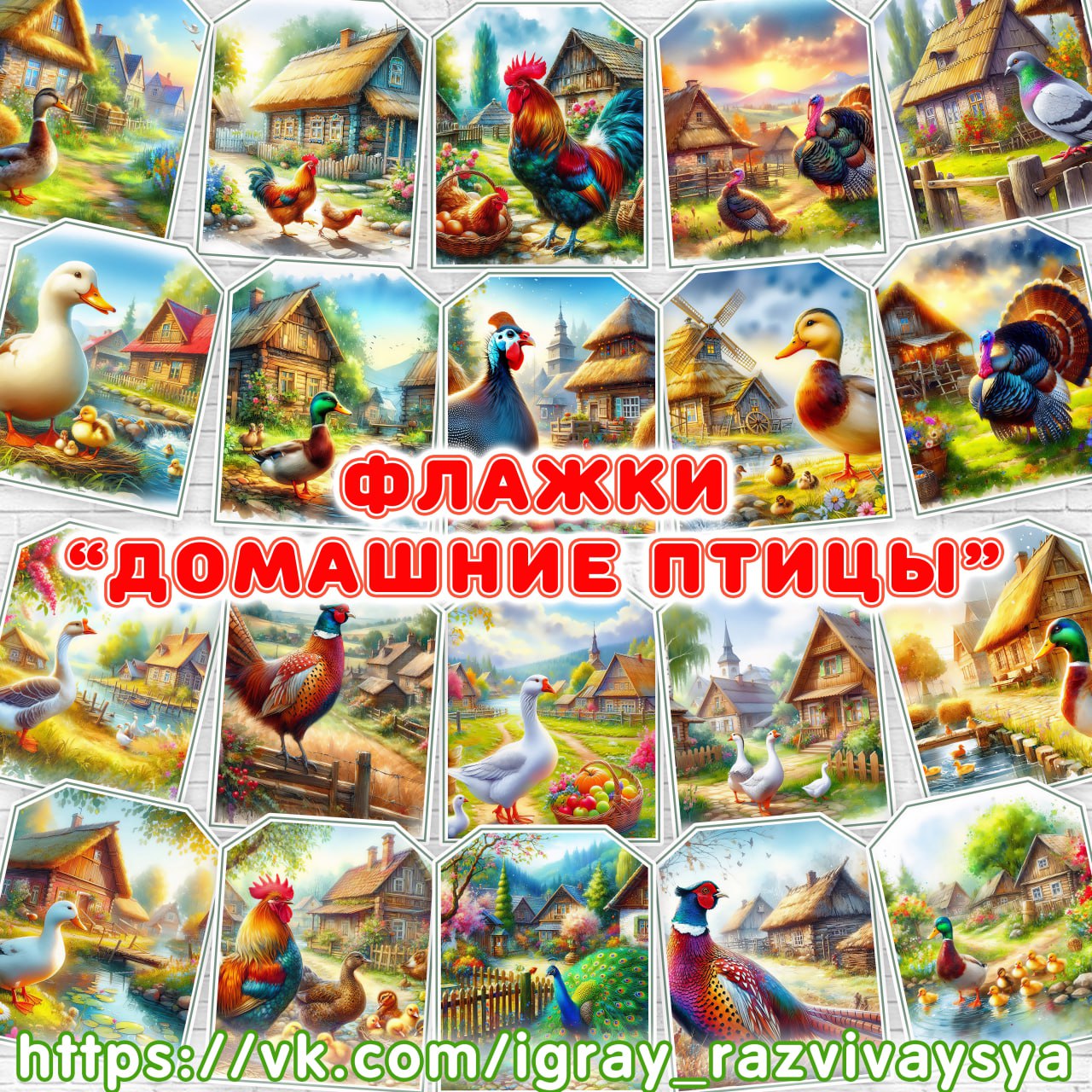 ФЛАЖКИ ДОМАШНИЕ ПТИЦЫ