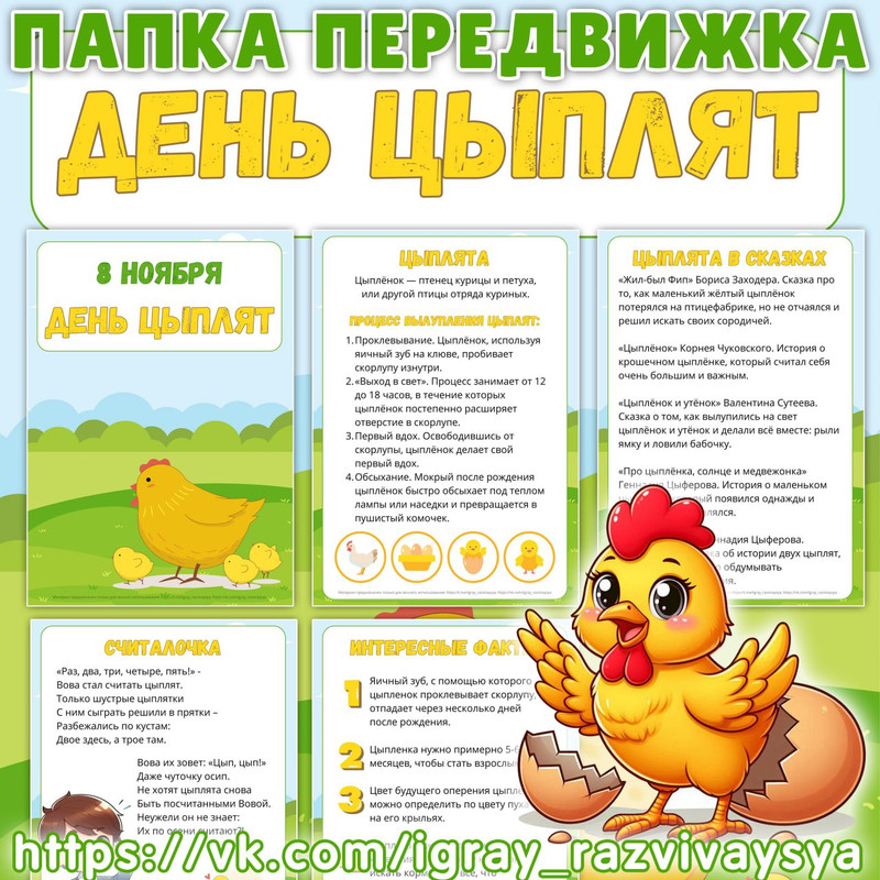 ПАПКА ПЕРЕЖВИЖКА ДЕНЬ ЦЫПЛЯТ