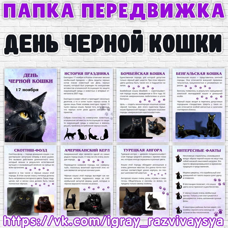 ПАПКА ПЕРЕДВИЖКА ЧЕРНАЯ КОШКА
