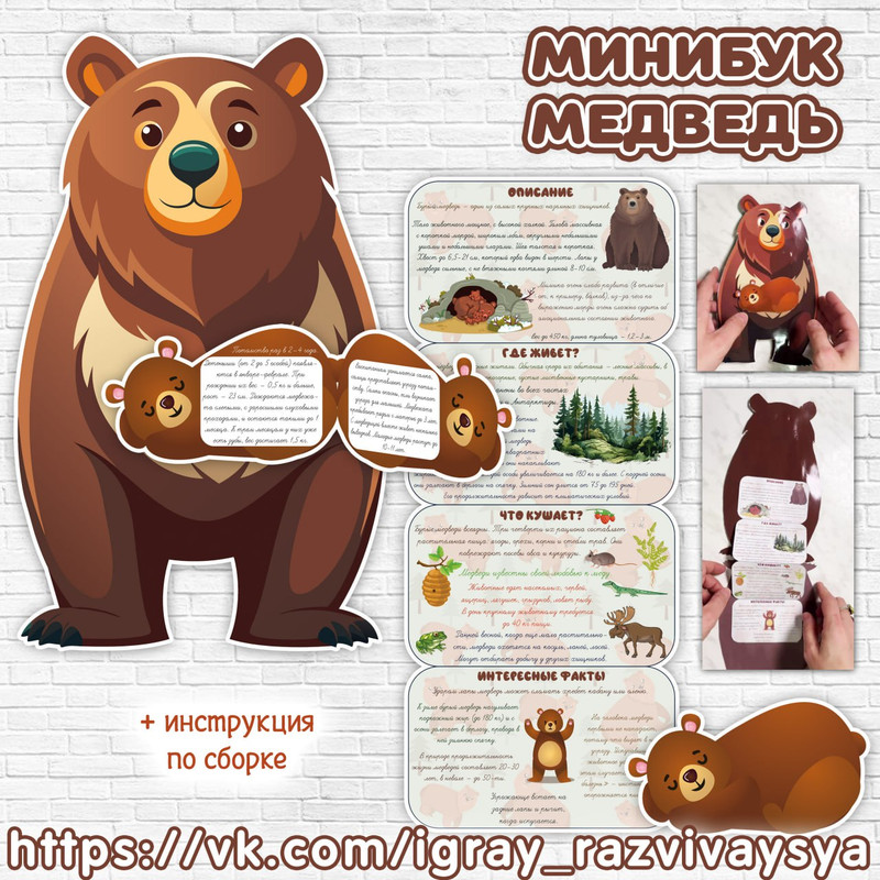 МИНИБУК МЕДВЕДЬ