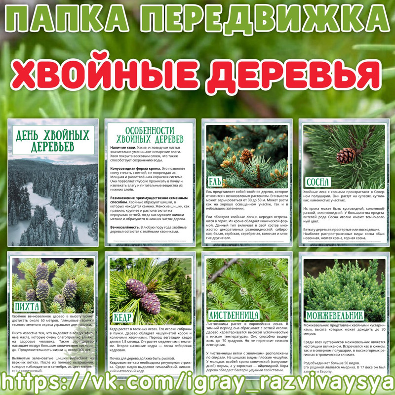 ПАПКА ПЕРЕДВИЖКА ДЕНЬ ХВОЙНЫХ ДЕРЕВЬЕВ