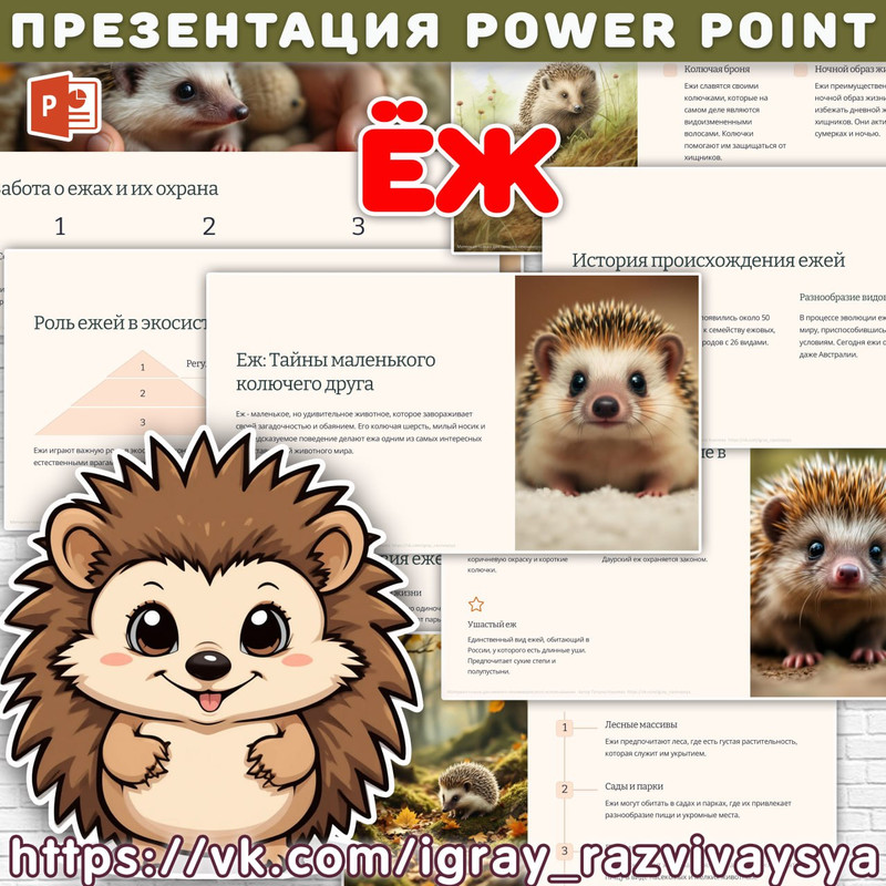 ПРЕЗЕНТАЦИЯ ЕЖ