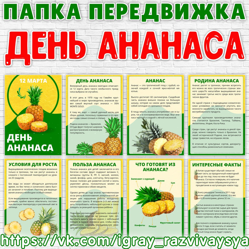 ПАПКА ПЕРЕДВИЖКА ДЕНЬ АНАНАСА