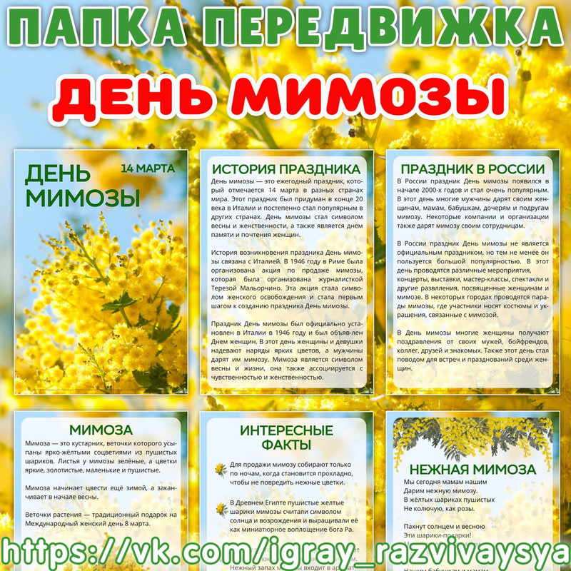 ПАПКА ПЕРЕДВИЖКА ДЕНЬ МИМОЗЫ