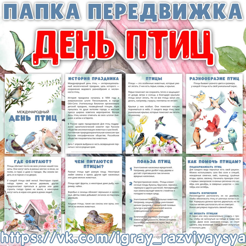 ПАПКА ПЕРЕДВИЖКА ДЕНЬ ПТИЦ