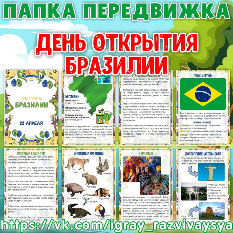 ПАПКА ПЕРЕДВИЖКА БРАЗИЛИЯ