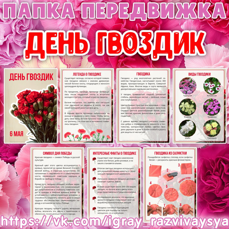 ПАПКА ПЕРЕДВИЖКА ДЕНЬ ГВОЗДИК