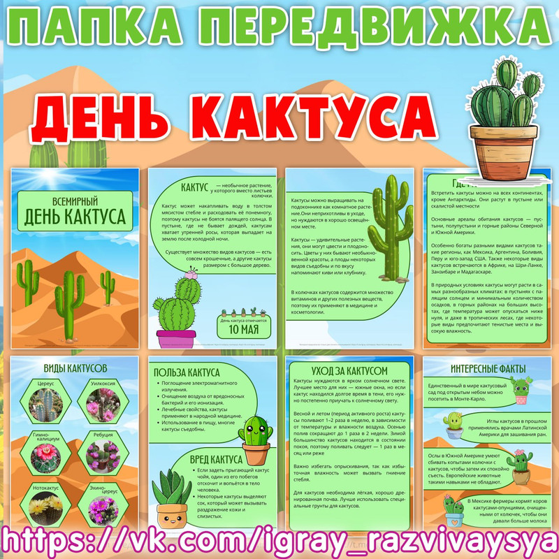 ПАПКА ПЕРЕДВИЖКА ДЕНЬ КАКТУСА