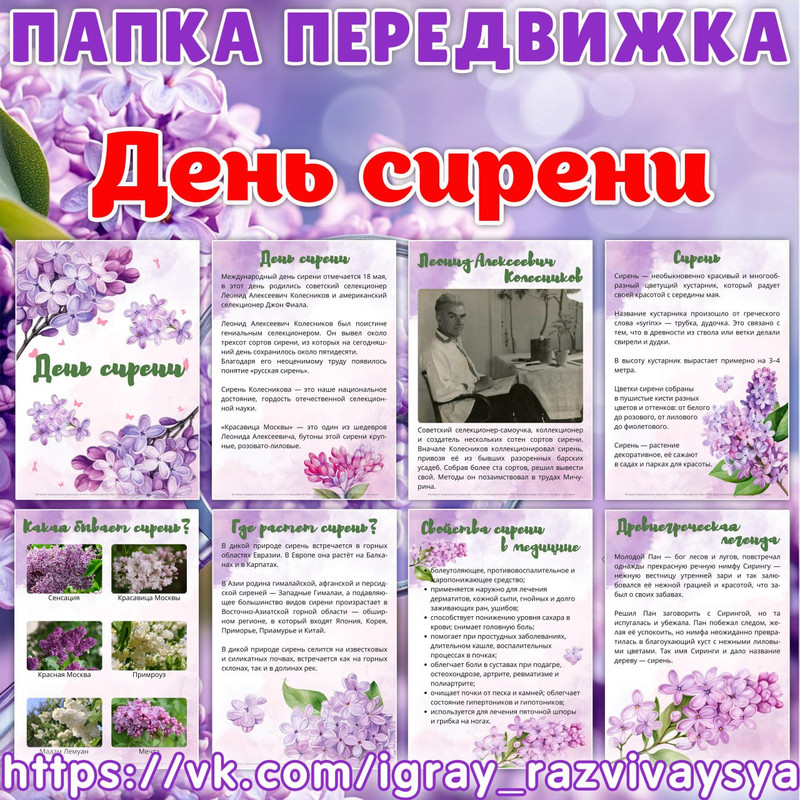 ПАПКА ПЕРЕДВИЖКА СИРЕНЬ