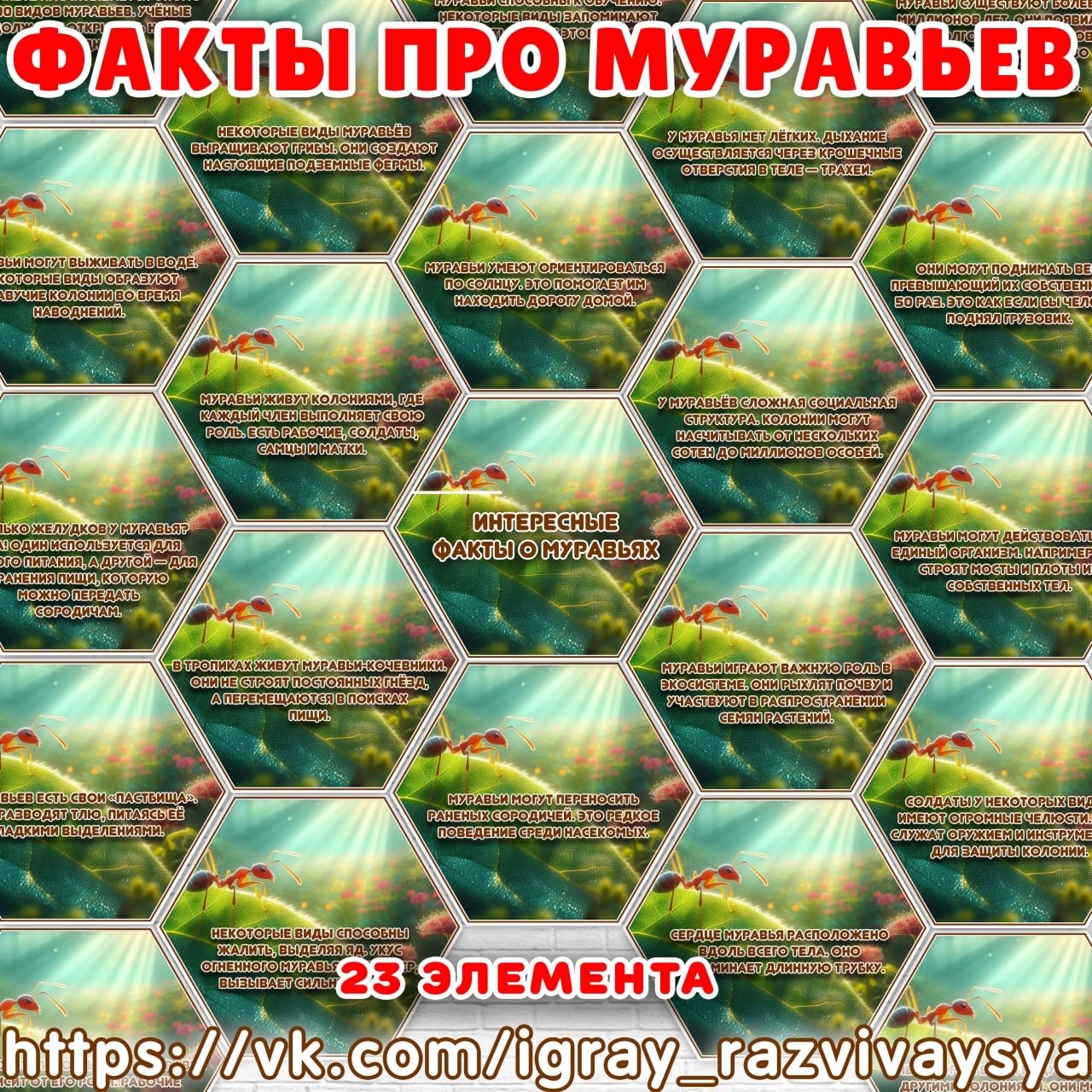 ФАКТЫ ПРО МУРАВЬЯ — карточки, муравьи, насекомые — для детского сада — Играй и Развивайся