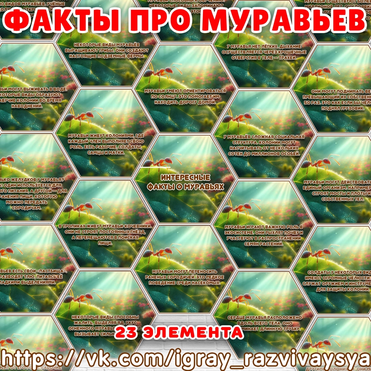 ФАКТЫ ПРО МУРАВЬЯ