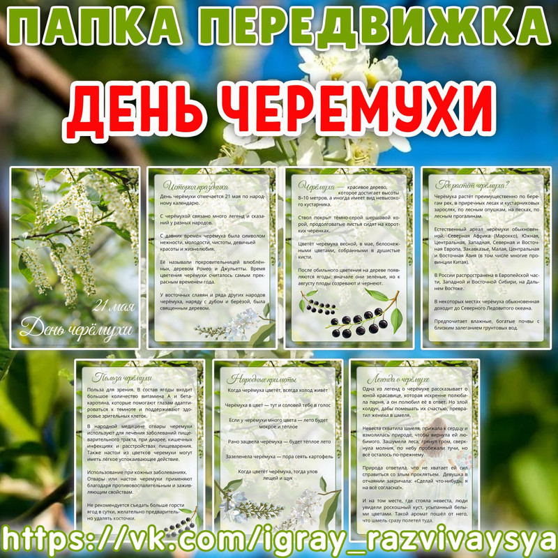 ПАПКА ПЕРЕДВИЖКА ДЕНЬ ЧЕРЕМУХИ