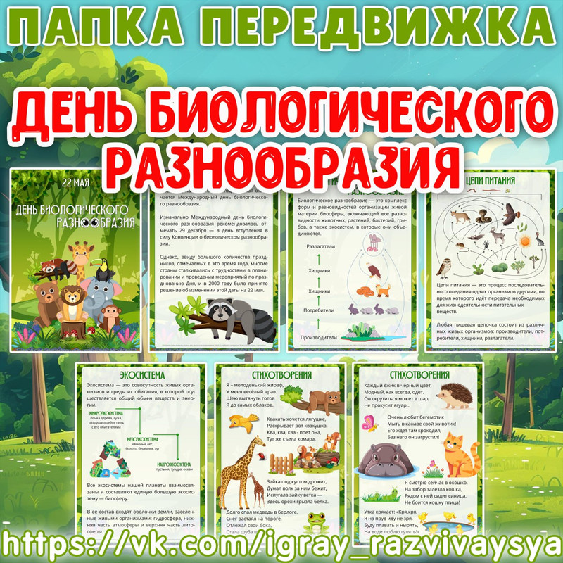 ПАПКА ПЕРЕДВИЖКА ДЕНЬ БИОЛОГИЧЕСКОГО РАЗНООБРАЗИЯ