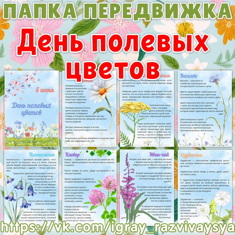 ПАПКА ПЕРЕДВИЖКА ДЕНЬ ПОЛЕВЫХ ЦВЕТОВ
