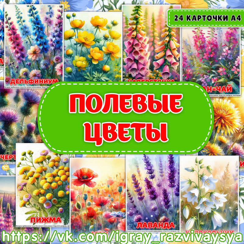 КАРТОЧКИ А4 ПОЛЕВЫЕ ЦВЕТЫ
