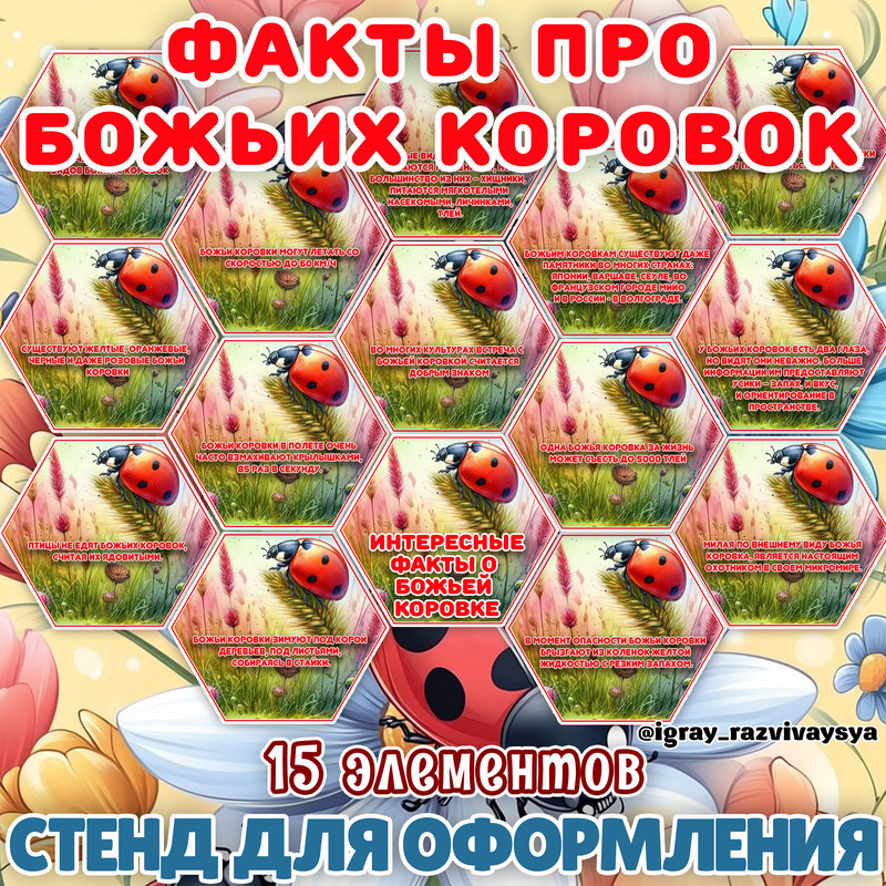 СОТЫ БОЖЬИ КОРОВКИ