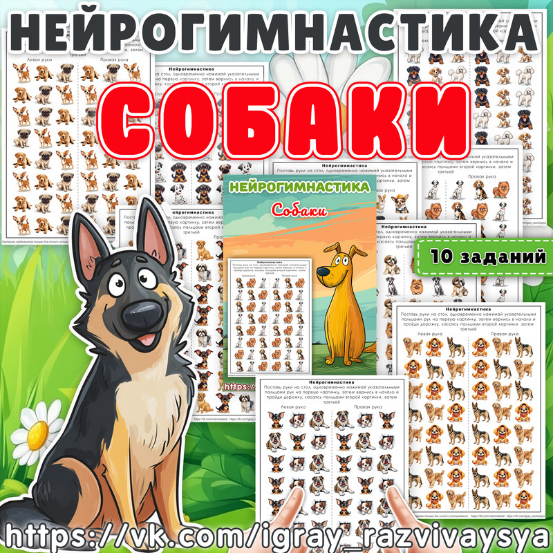 НЕЙРОГИМНАСТИКА СОБАКИ