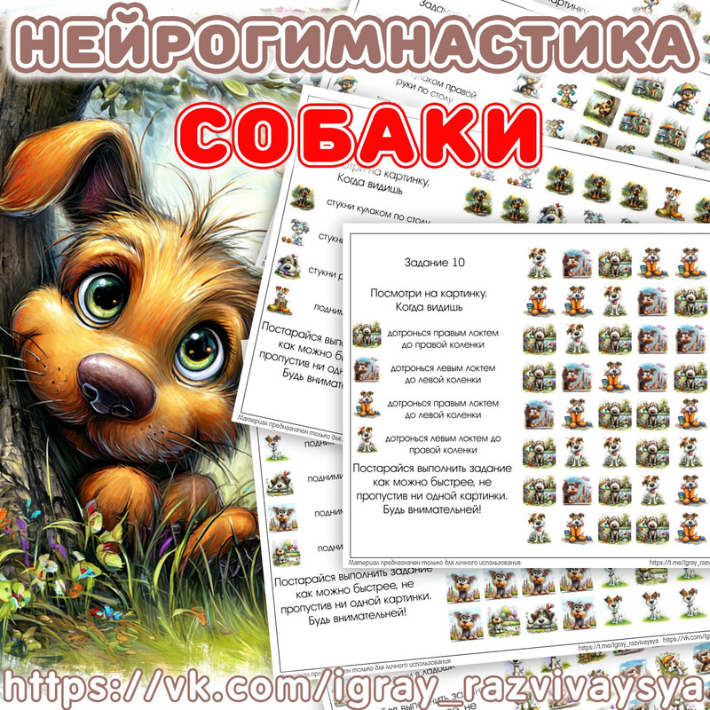 НЕЙРОГИМНАСТИКА 2 СОБАКИ
