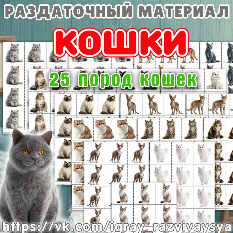 СЧЕТНЫЙ РАЗДАТОЧНЫЙ КОШКИ