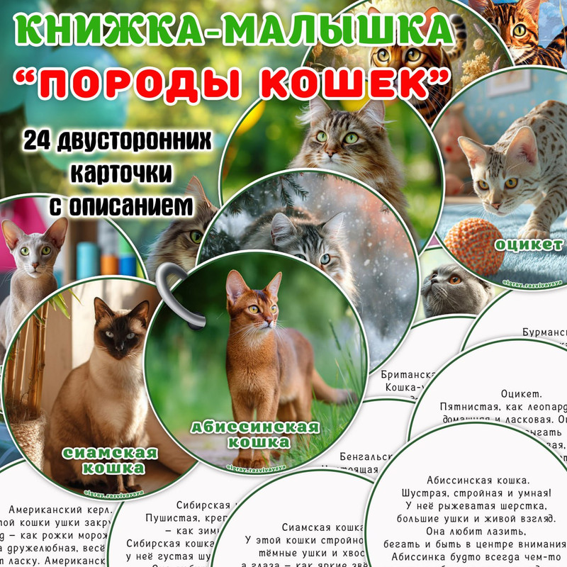 КНИЖКА МАЛЫШКА ПОРОДЫ КОШЕК