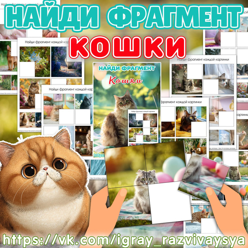 НАЙДИ ФРАГМЕНТ КОШКИ