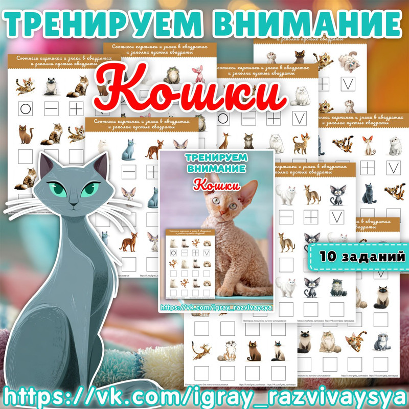 ТРЕНИРУЕМ ВНИМАНИЕ КОШКИ