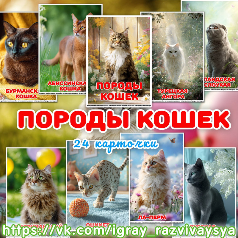 КАРТОЧКИ ПОРОДЫ КОШЕК А4