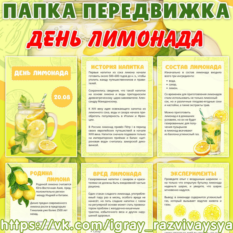 ПАПКА ПЕРЕДВИЖКА ДЕНЬ ЛИМОНАДА