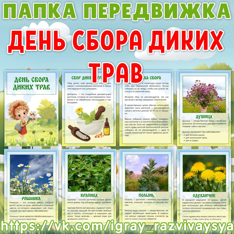 ПАПКА ПЕРЕДВИЖКА ДЕНЬ СБОРА ДИКИХ ТРАВ