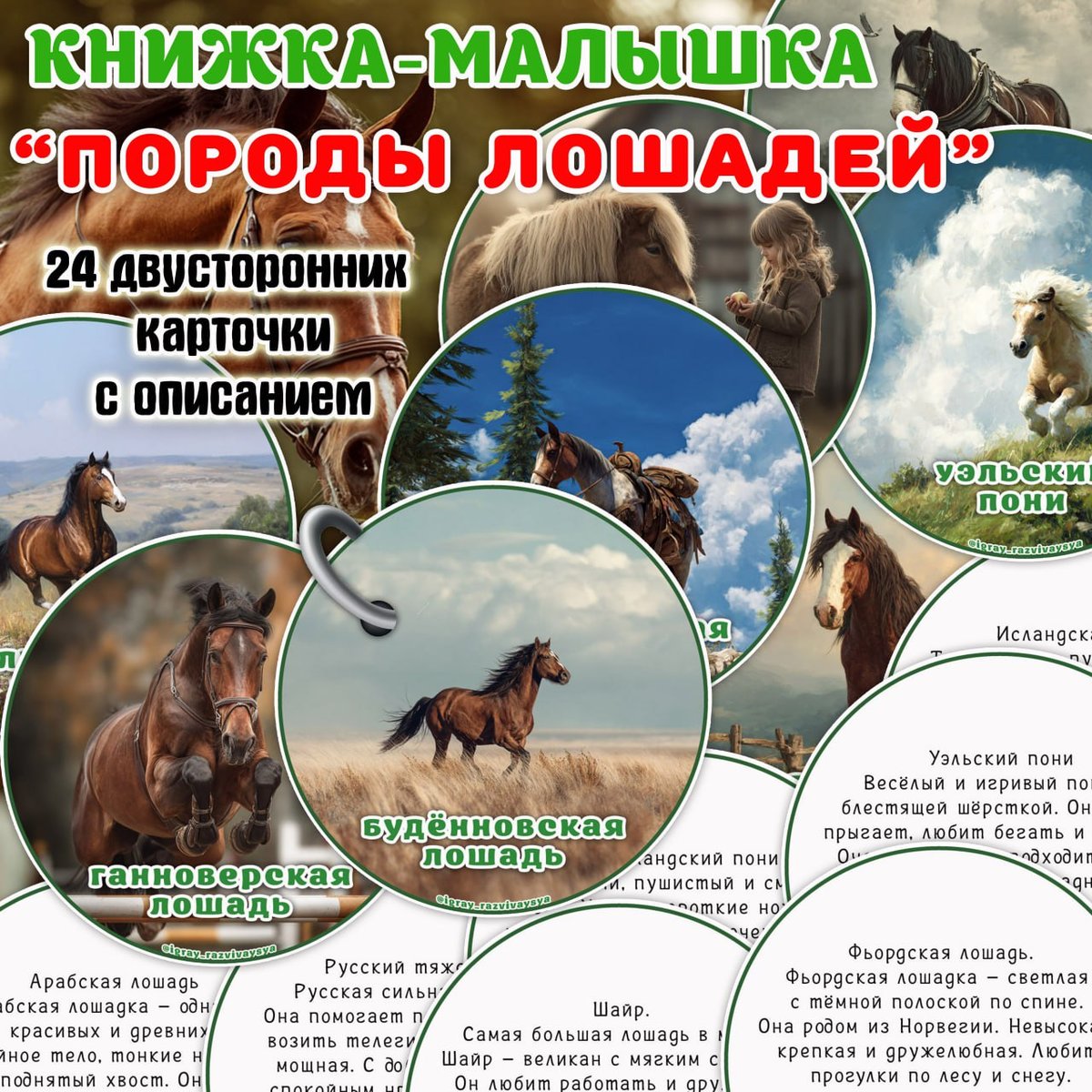 КНИЖКА МАЛЫШКА ЛОШАДИ — карточки, книжка малышка, лошади — для детского сада — Играй и Развивайся