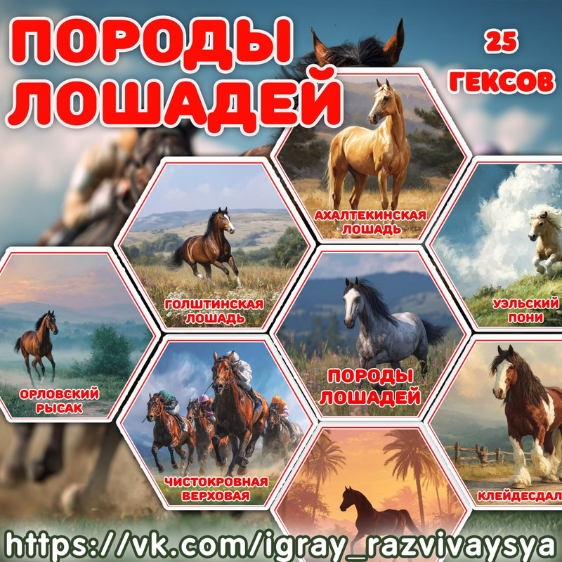 СОТЫ ПОРОДЫ ЛОШАДЕЙ
