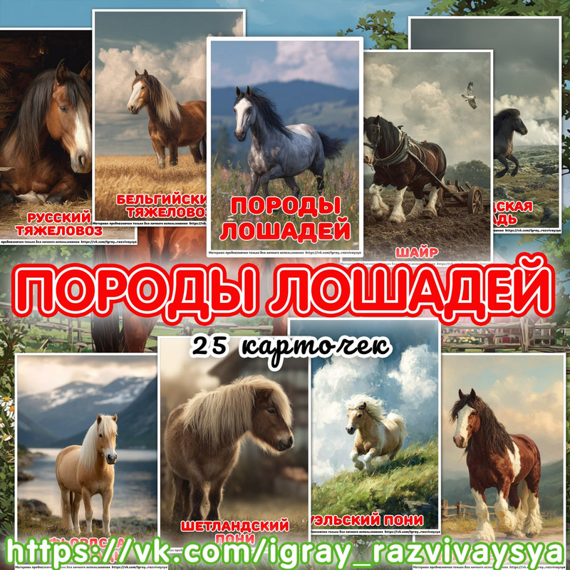 КАРТОЧКИ А4 ПОРОДЫ ЛОШАДЕЙ
