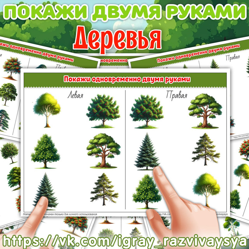ПОКАЖИ ДВУМЯ РУКАМИ ДЕРЕВЬЯ ЛЕС