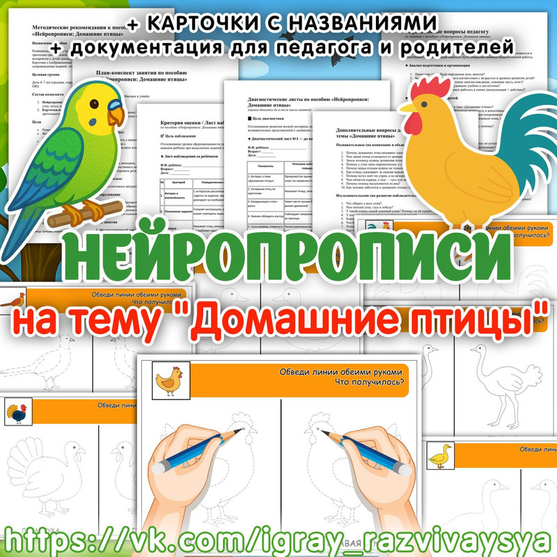 НЕЙРОПРОПИСИ ДОМАШНИЕ ПТИЦЫ