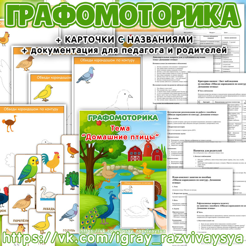 ГРАФОМОТОРИКА ДОМАШНИЕ ПТИЦЫ