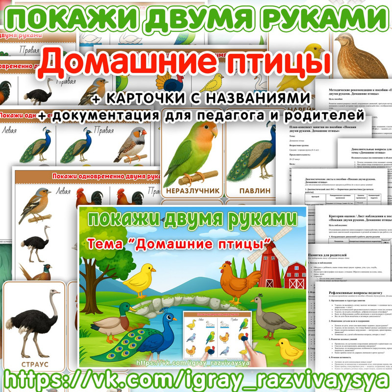 ПОКАЖИ ДВУМЯ РУКАМИ ДОМАШНИЕ ПТИЦЫ