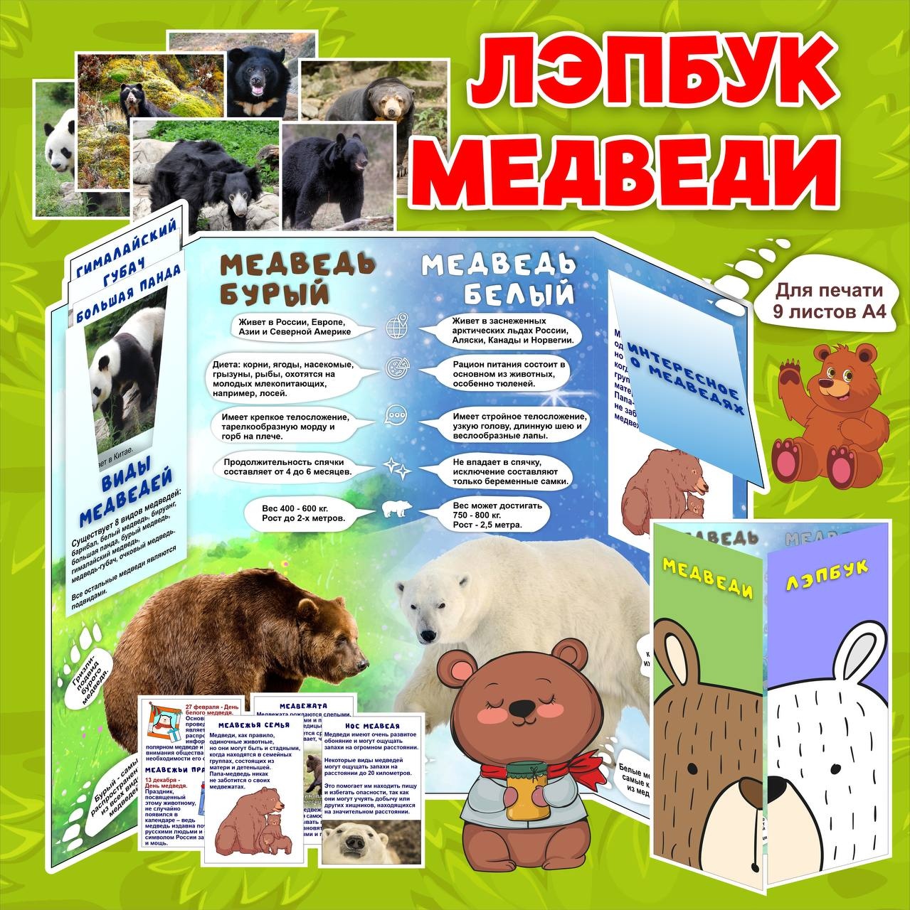 Новиночка 😍 Лэпбук "МЕДВЕДИ"🐻
