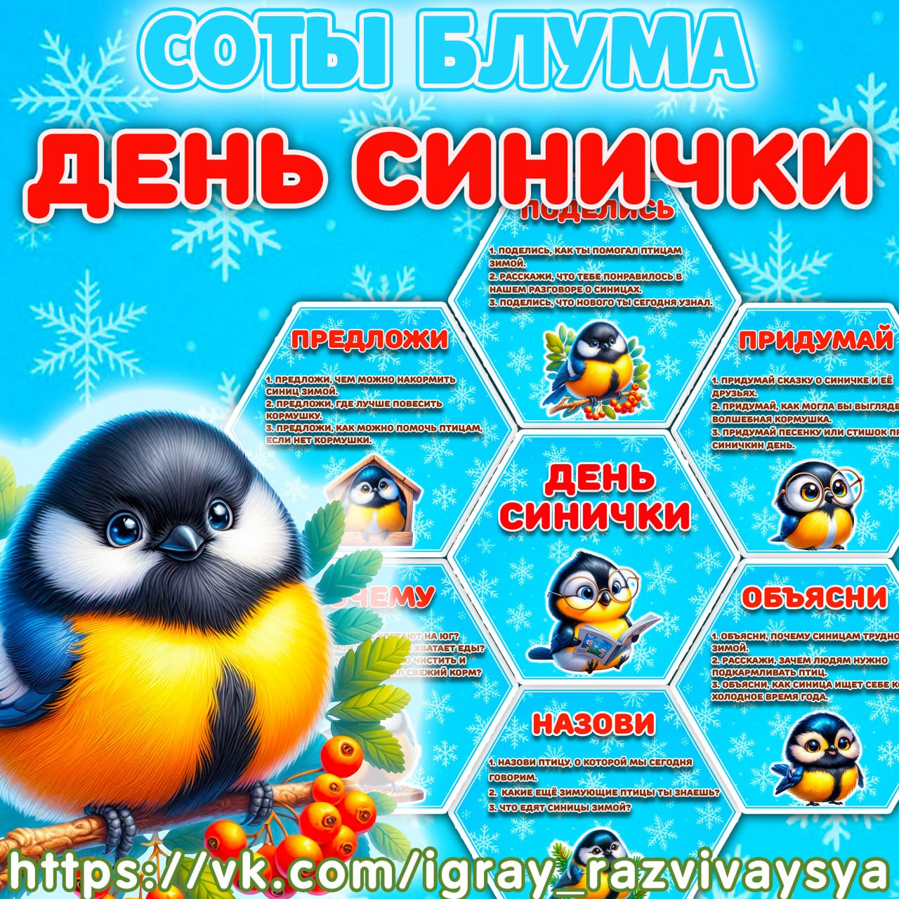 СОТЫ БЛУМА СИНИЧКА