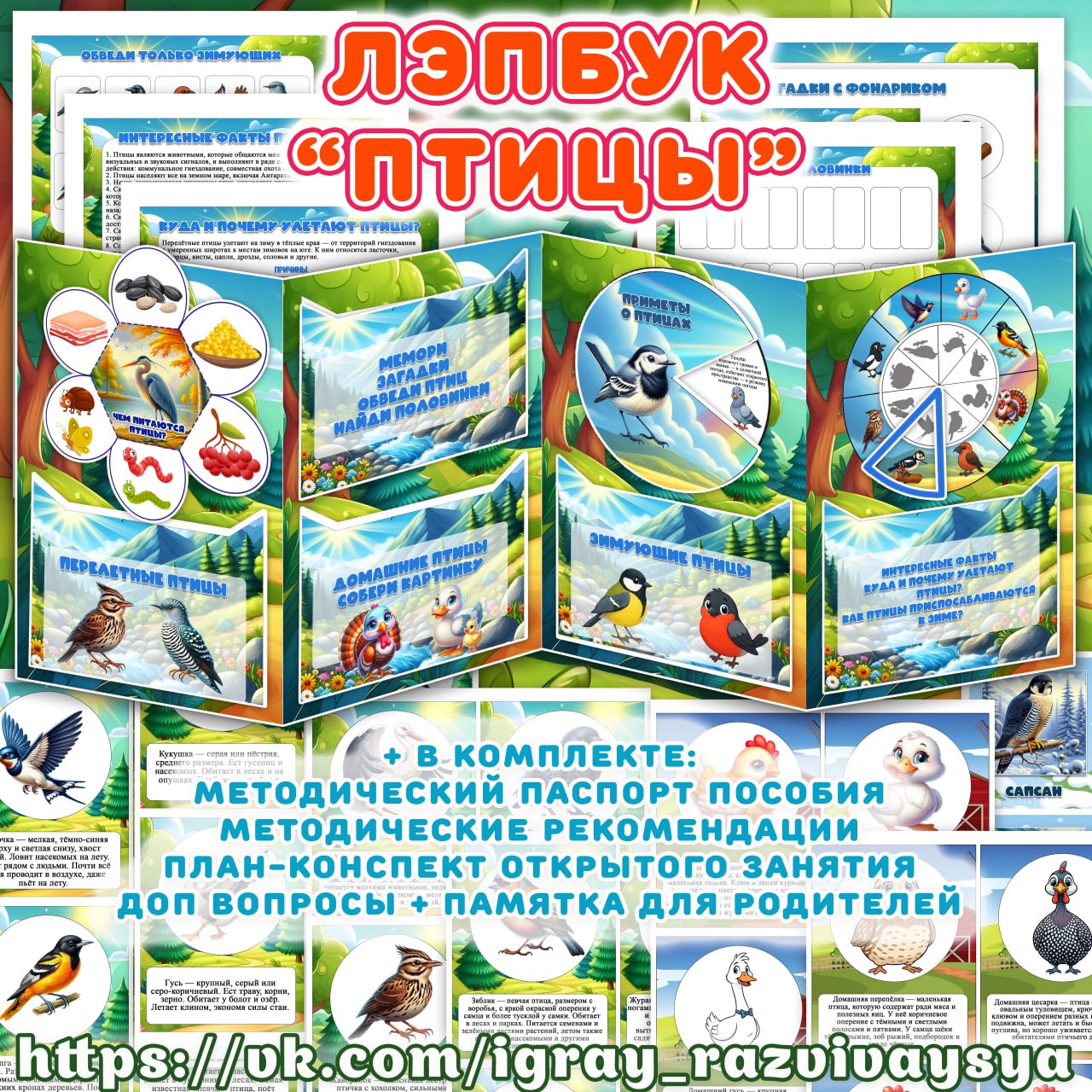 ЛЭПБУК ПТИЦЫ