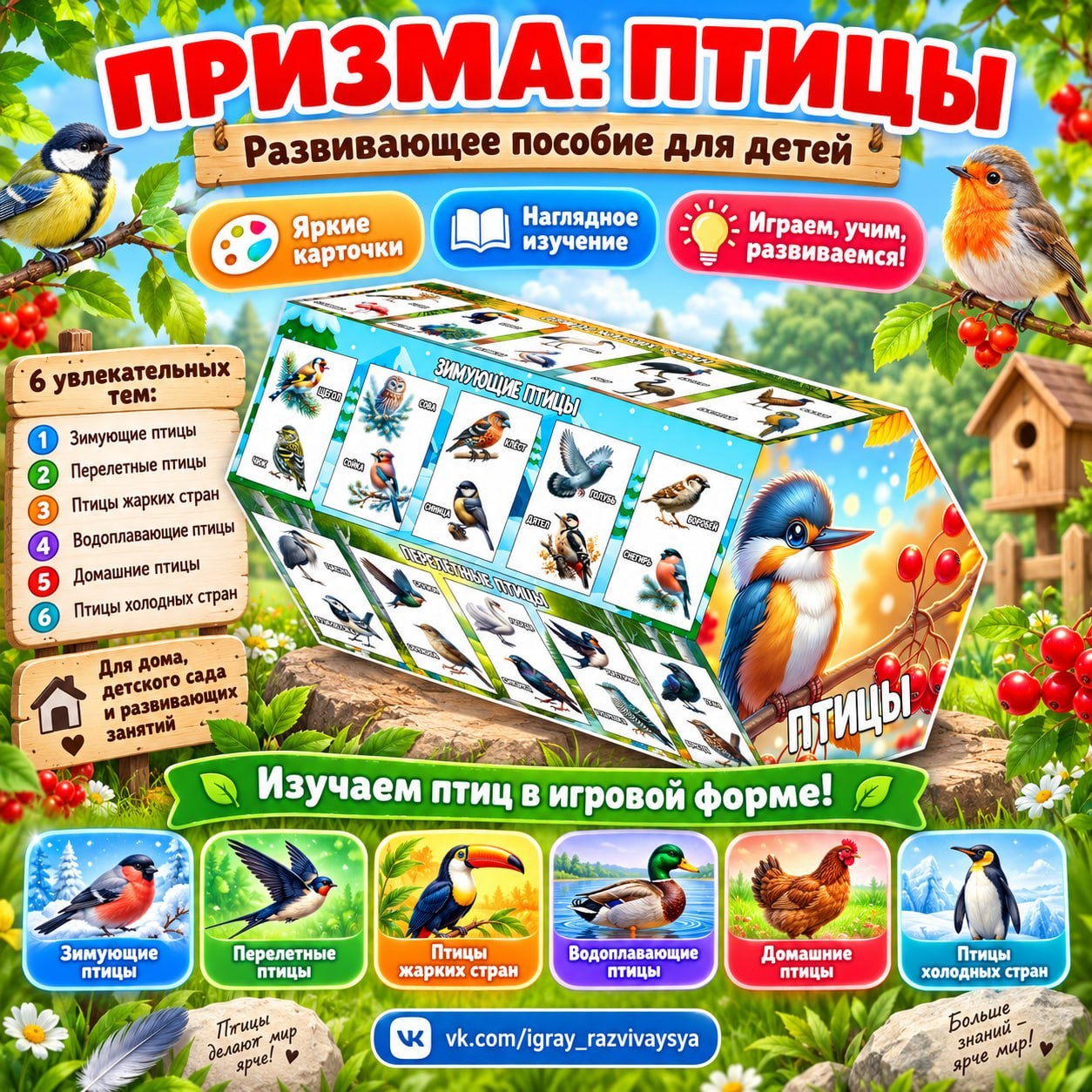 ПРИЗМА ПТИЦЫ — 3d, внимание, зимующие птицы — для детского сада — Играй и Развивайся