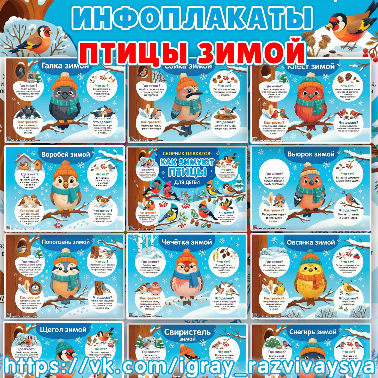 ИНФОПЛАКАТЫ ПТИЦЫ ЗИМОЙ
