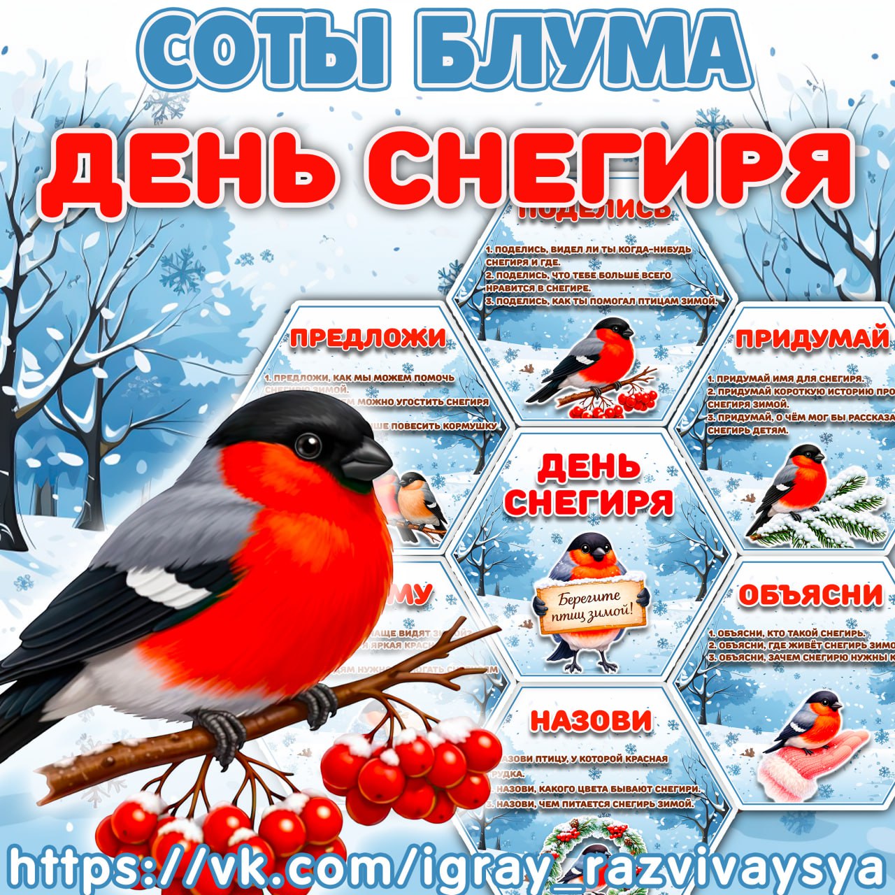 СОТЫ БЛУМА СНЕГИРЬ