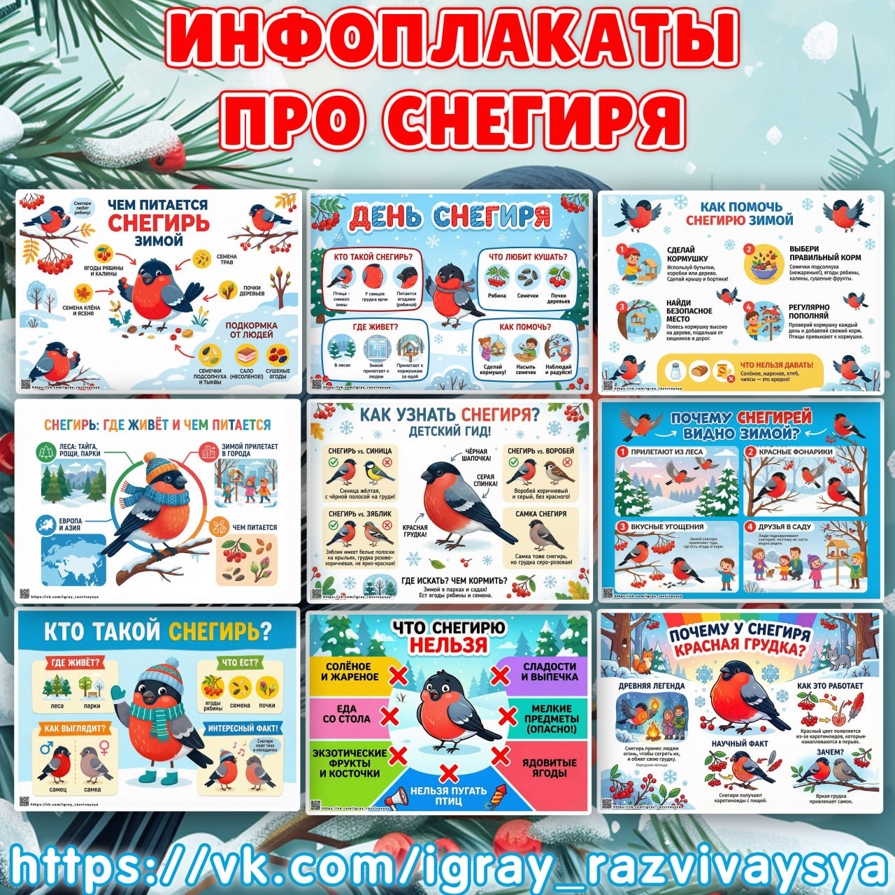 ИНФОПЛАКАТЫ СНЕГИРИ