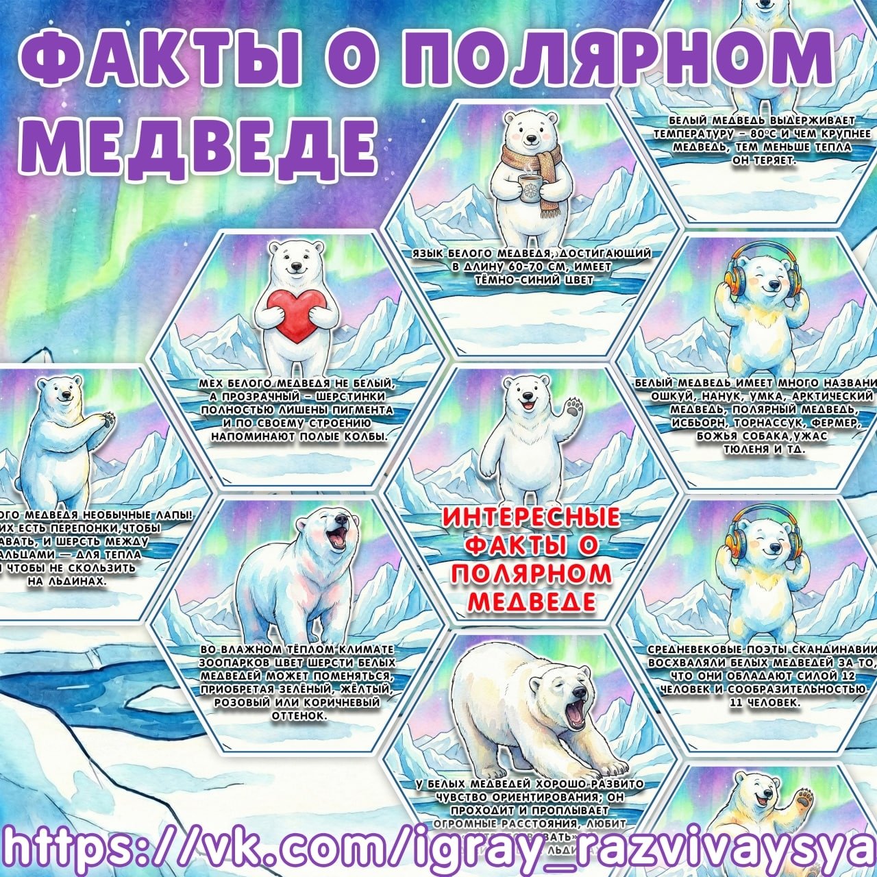 СОТЫ ПОЛЯРНЫЙ МЕДВЕДЬ — карточки, соты — скачать для детского сада