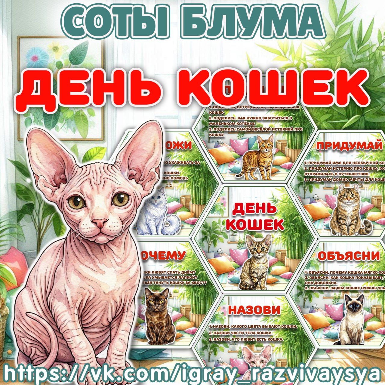 СОТЫ БЛУМА КОШКИ