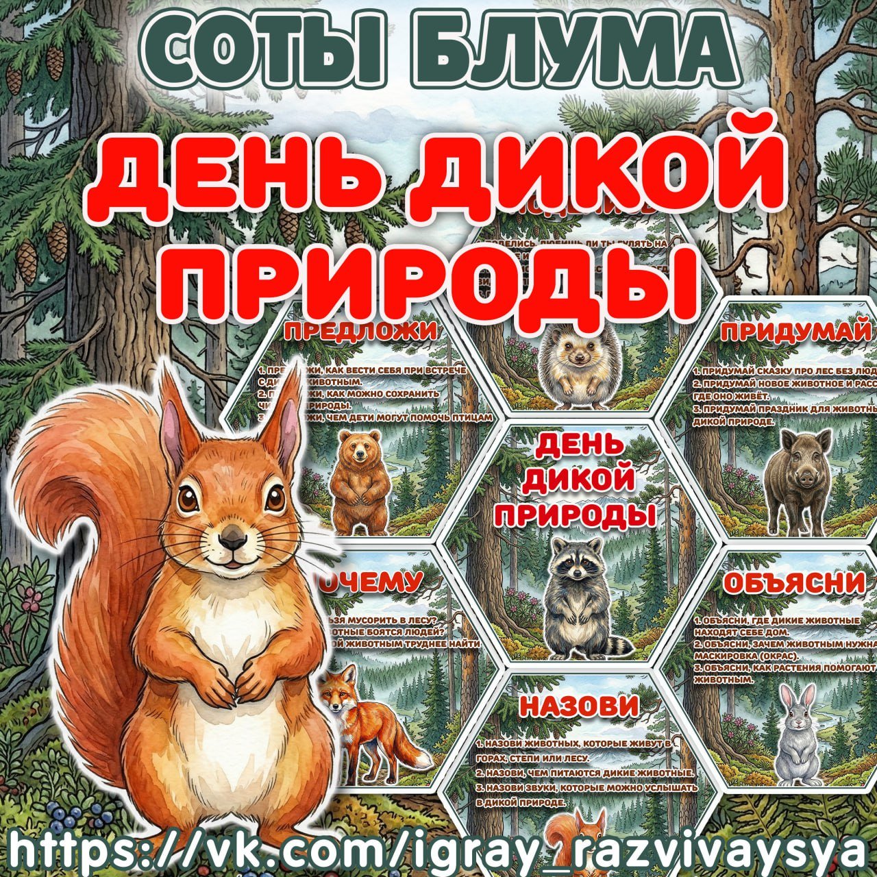 СОТЫ БЛУМА ДИКАЯ ПРИРОДА — 1-2 класс, блум, карточки — скачать для детского сада
